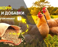 ПОДАРКИ только в ДЕКАБРЕ!