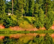 Сиверское территориальное управление