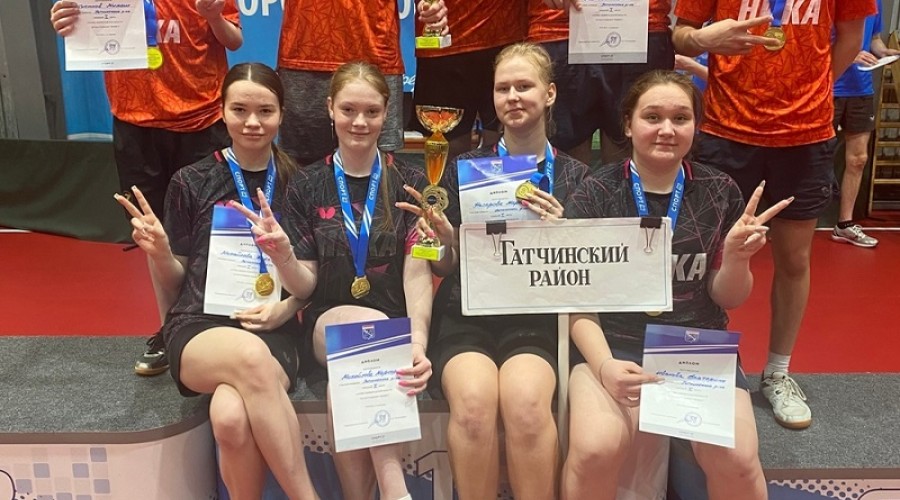 В Сиверском разыграли Кубок по настольному теннису
