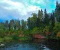 Обнажения девона на реке Оредеж