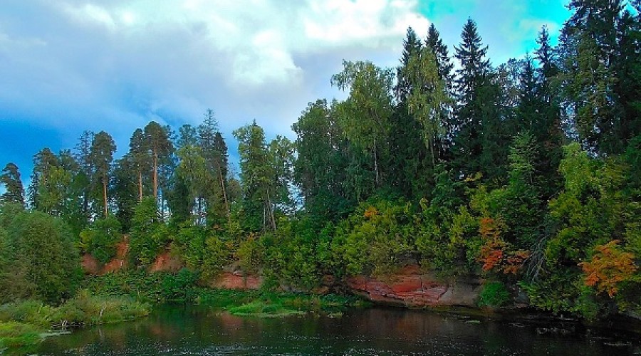 Обнажения девона на реке Оредеж