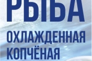 Белуга рыбный магазин