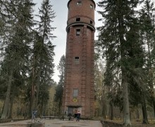 Последний рисунок осени.