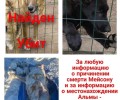 Про убийство беззащитного доброго пса Мейсона.