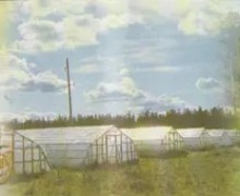 ФГБНУ Ленинградский НИИСХ Белогорка