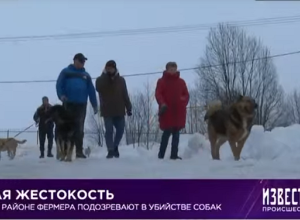 Зверская жестокость.