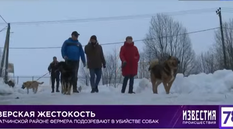 Зверская жестокость.
