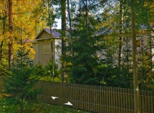 Живем в сарае с электричеством.