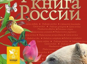 За сбор краснокнижных растений введут реальный срок и штраф.