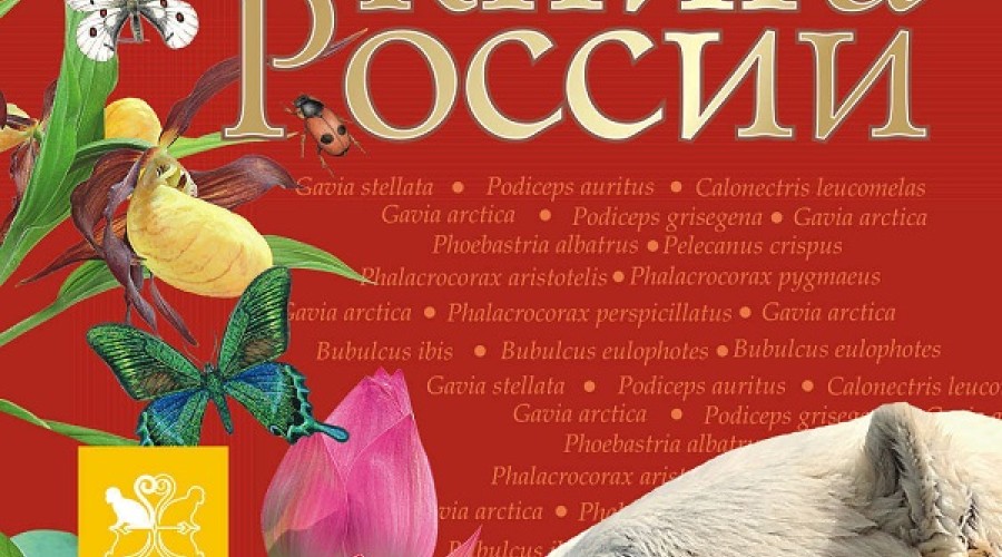 За сбор краснокнижных растений введут реальный срок и штраф.