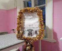 Принеси корм для четвероного друга.