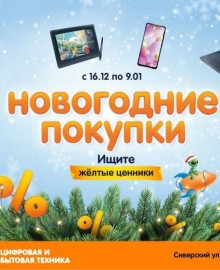 Новогодние покупки в DNS