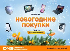 Новогодние покупки в DNS