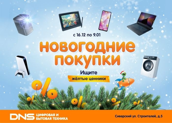 Новогодние покупки в DNS